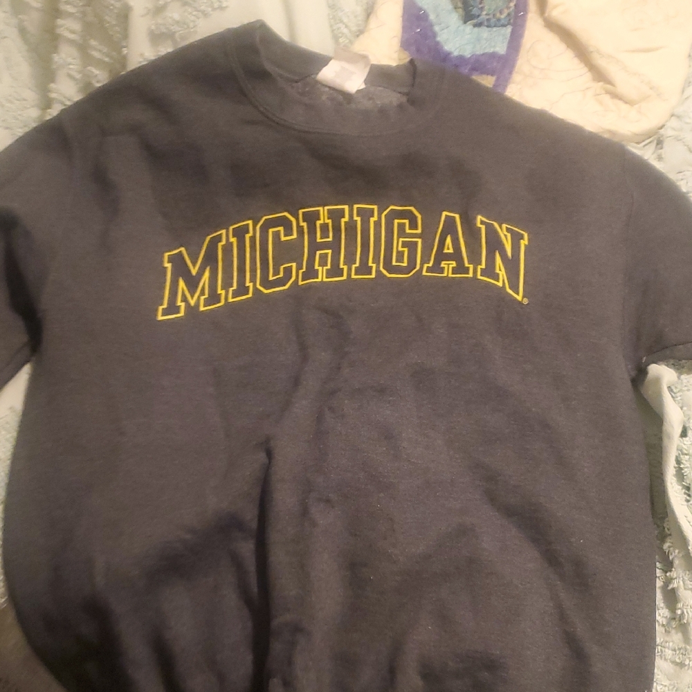 Gray Michigan Sweatshirt